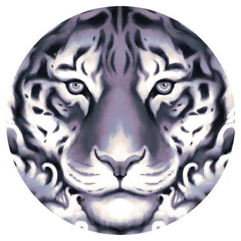 MsMaw logo
